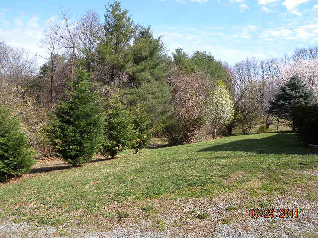 3904 Welcome Valley Road Southeast Roanoke, VA 24014 - Photo 5 of 23 yard