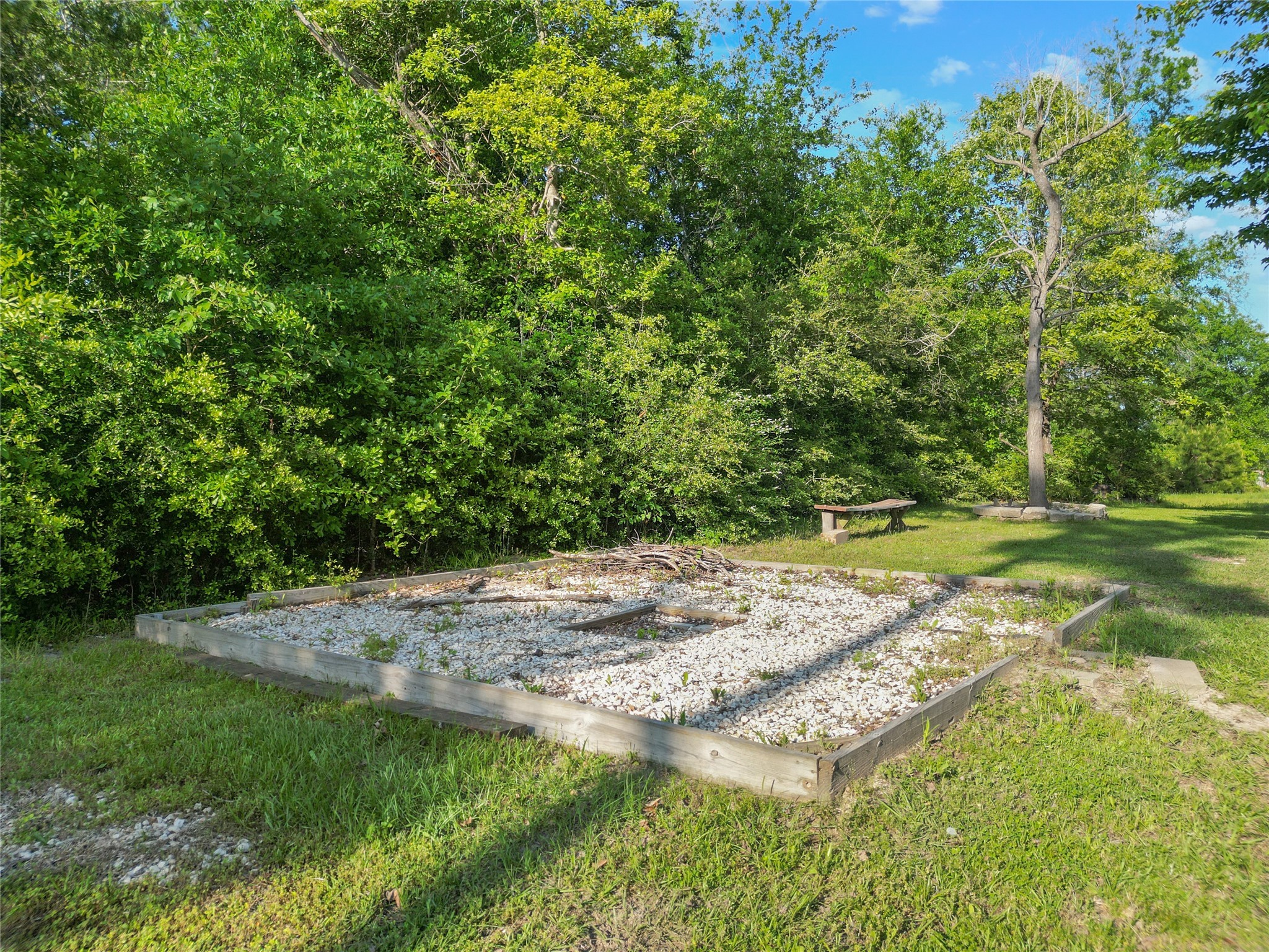 443 West Lone Oak Road Onalaska, TX 77360 - Photo 17 of 21 a view of a yard with plants and large trees