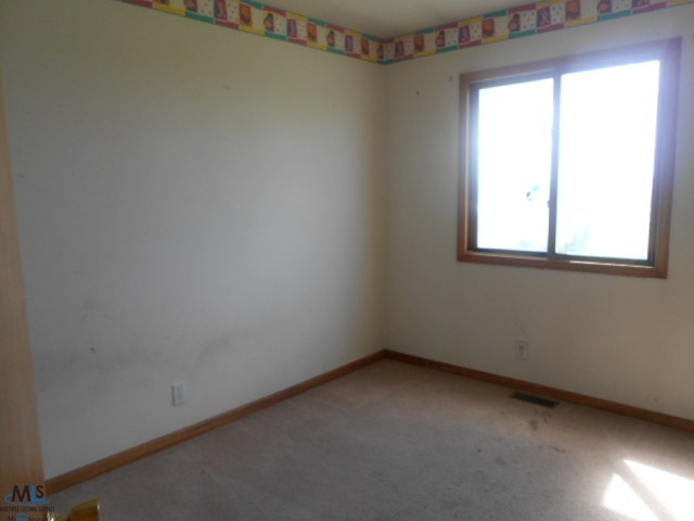 1196 Davis Road Sandusky, MI 48471 - Photo 7 of 17 31115740-6.JPG