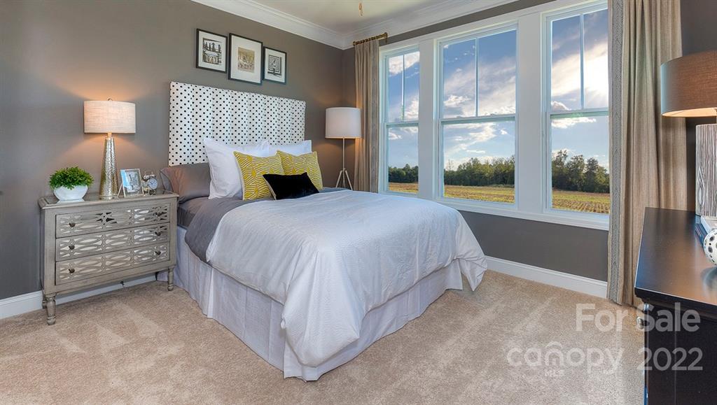 4454 Streamside Road, Unit 86 Denver, NC 28037 - Photo 4 of 25 Gallery Image 4
