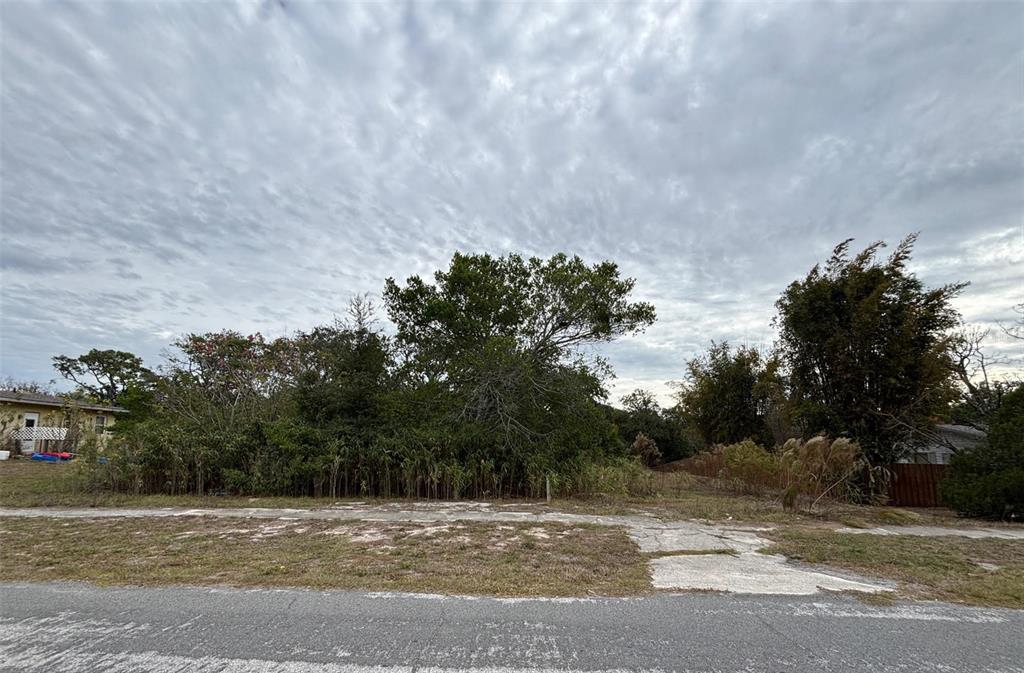 6330 Kelvin Court Spring Hill, FL 34606 - Photo 2 of 9 a view of road with trees