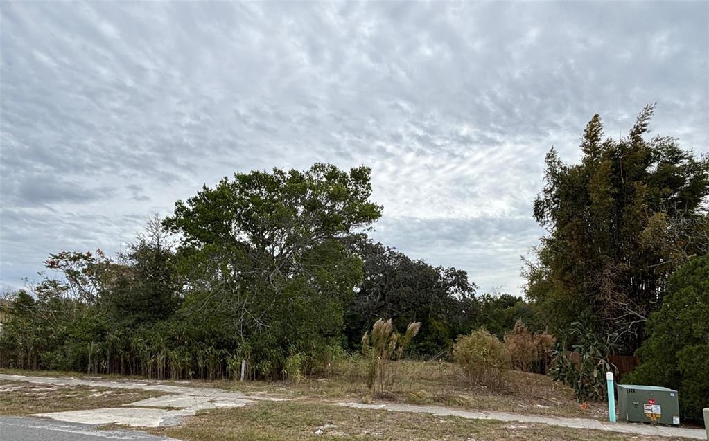6330 Kelvin Court Spring Hill, FL 34606 - Photo 5 of 9 a backyard of a house with lots of green space