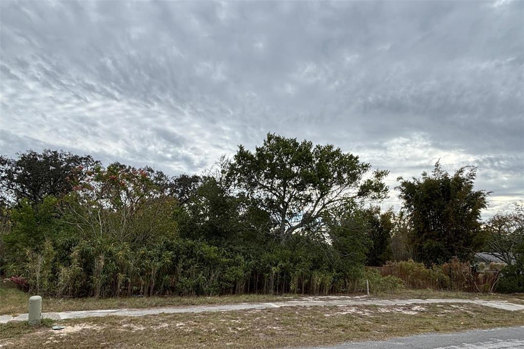 6330 Kelvin Court Spring Hill, FL 34606 - Photo 6 of 9 a view of a yard and mountain view