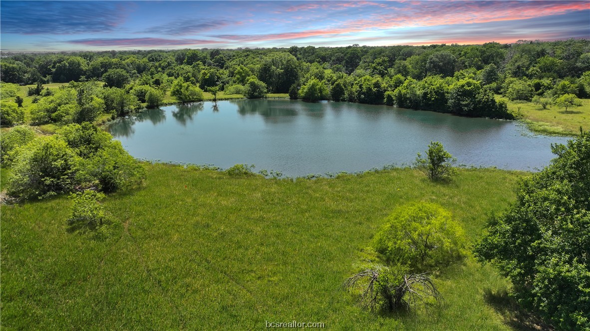 10101 Edge Cut Off Road Hearne, TX 77859 - Photo 1 of 1 a view of a lake with a yard and large trees