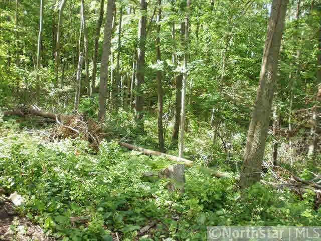 Xxx Cty Rd Gg Milltown, WI 54858 - Photo 3 of 3 Gallery Image 3