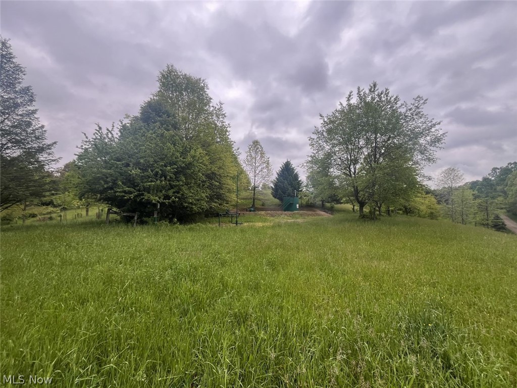 87085 Crall Road Scio, OH 43988 - Photo 11 of 17