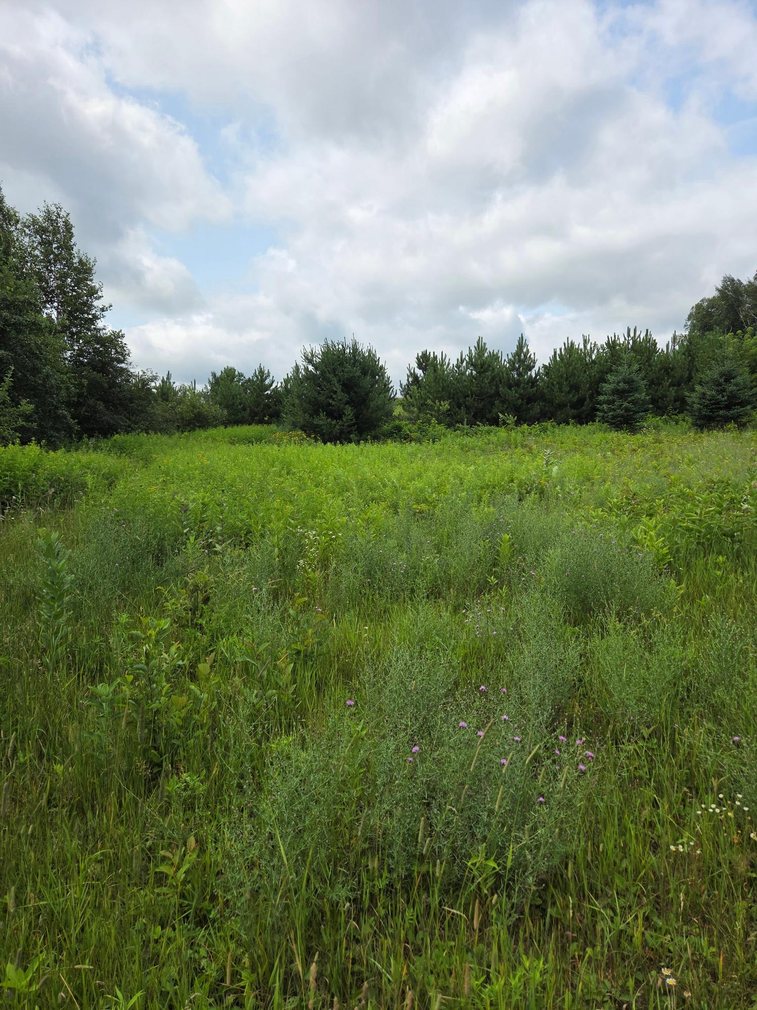 N7272 Keen Road Deerbrook, WI 54424 - Photo 3 of 26