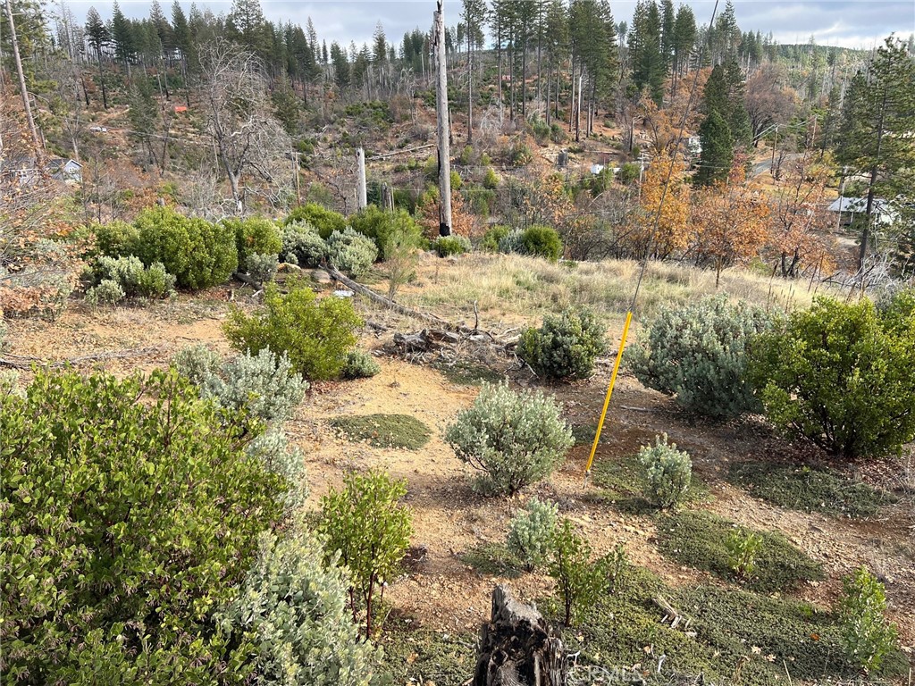 11090 Oak Street Cobb, CA 95426 - Photo 5 of 8