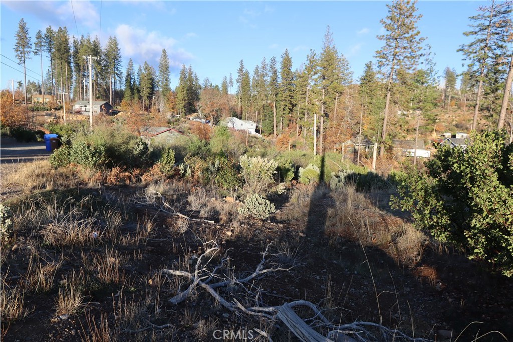 11090 Oak Street Cobb, CA 95426 - Photo 6 of 8