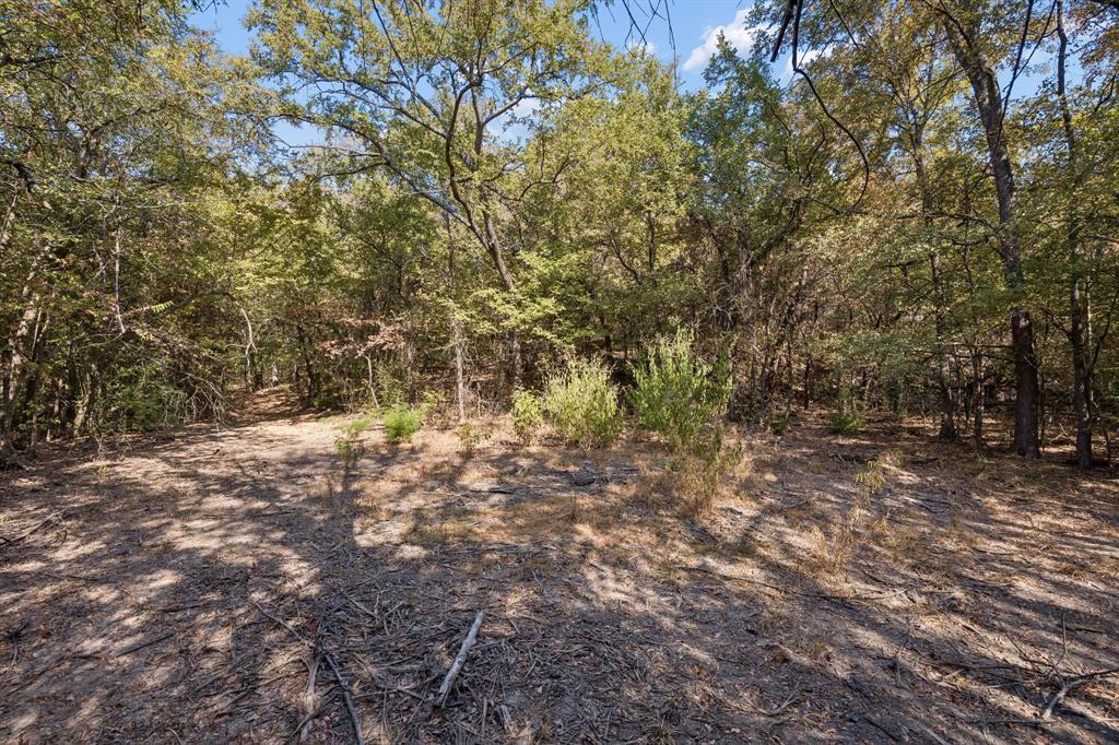 2301 Moseley Road Cross Roads, TX 76227 - Photo 25 of 28 Gallery Image 25