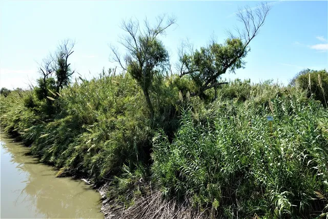 $1,895,000 | 0 County Road 2004, Taft, TX 78390