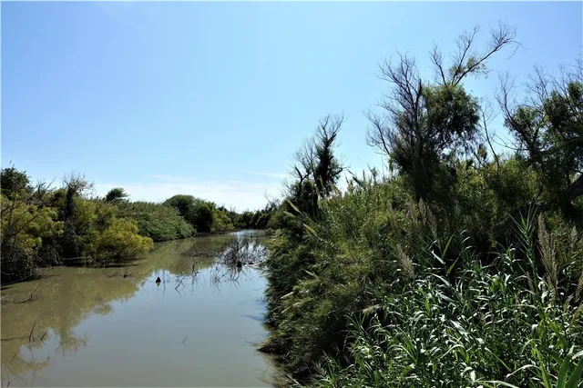 $1,895,000 | 0 County Road 2004, Taft, TX 78390