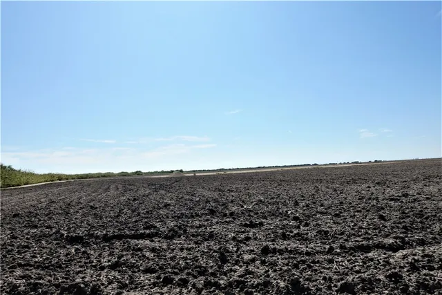 $1,895,000 | 0 County Road 2004, Taft, TX 78390