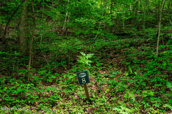 $38,990 | Lot 8 Skyview Drive, Hayesville, NC 28904