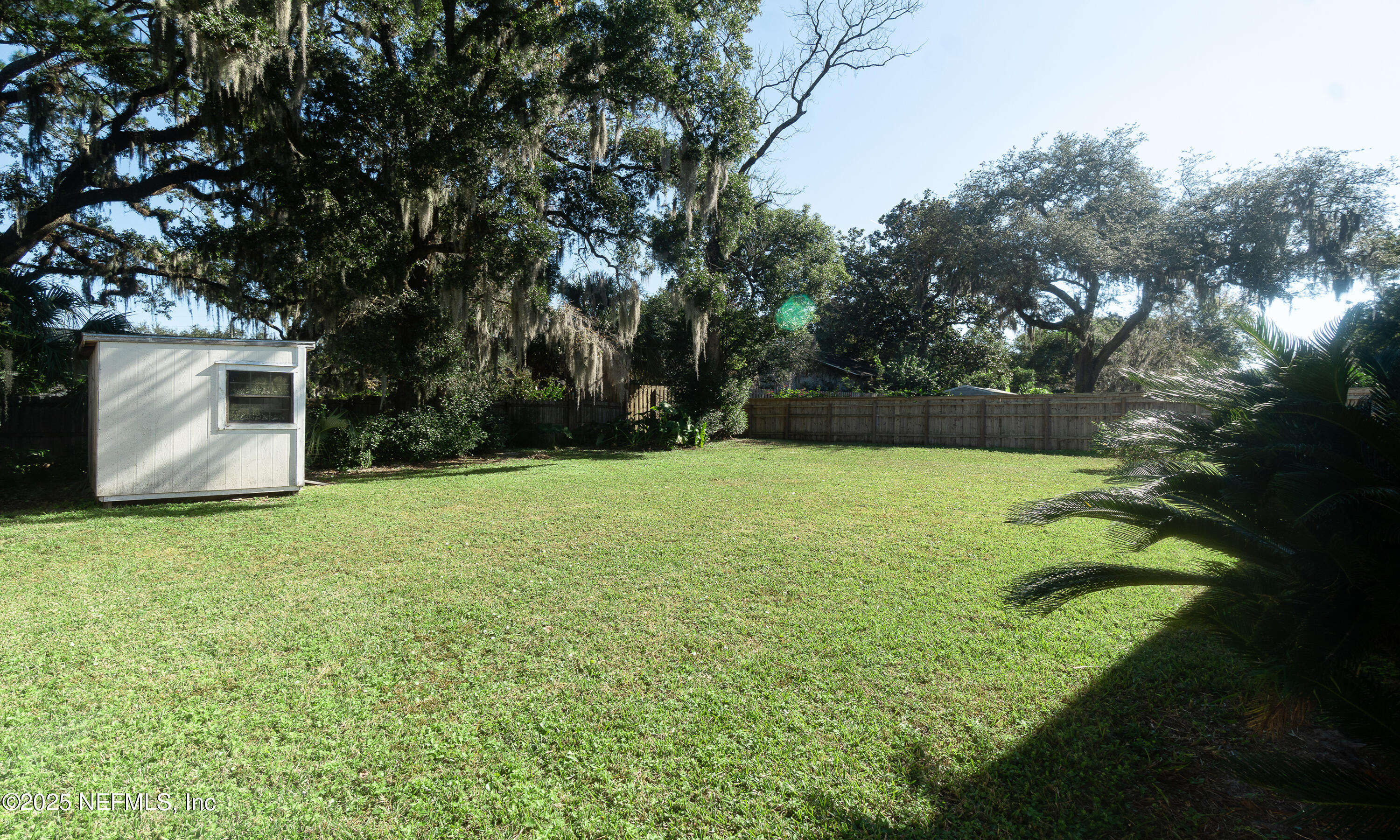 1153 Monticello Road Jacksonville, FL 32207 - Photo 33 of 37 a backyard of a house with lots of green space