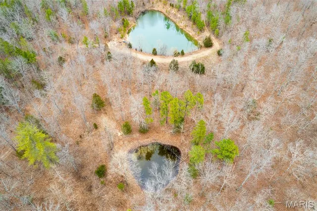 $710,000 | 7030 Wayne 341, Piedmont, MO 63957