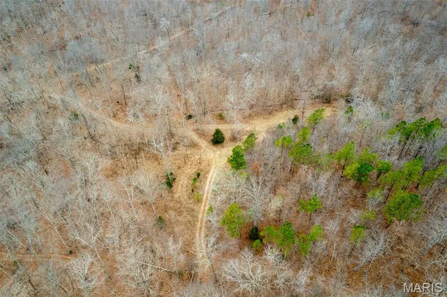 $710,000 | 7030 Wayne 341, Piedmont, MO 63957