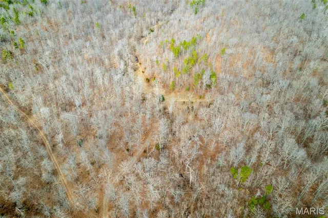 $710,000 | 7030 Wayne 341, Piedmont, MO 63957