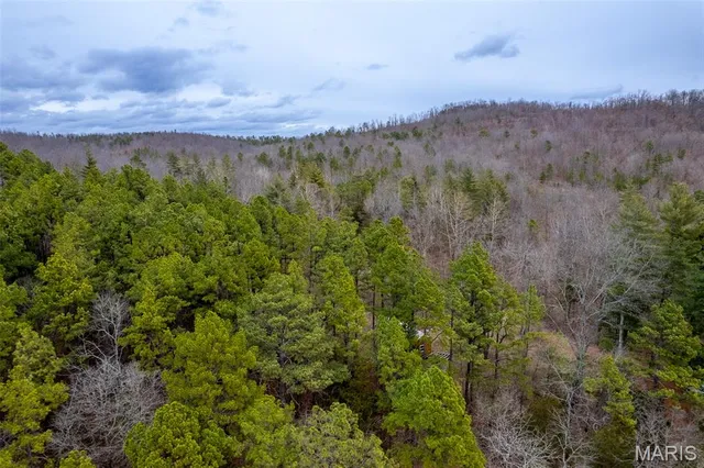 $710,000 | 7030 Wayne 341, Piedmont, MO 63957