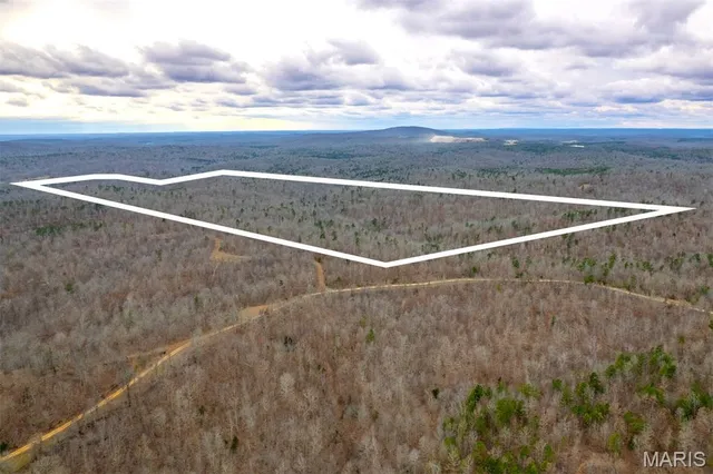 $710,000 | 7030 Wayne 341, Piedmont, MO 63957