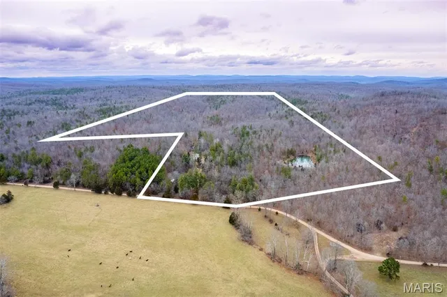 $710,000 | 7030 Wayne 341, Piedmont, MO 63957