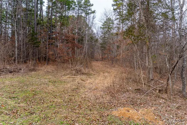 $710,000 | 7030 Wayne 341, Piedmont, MO 63957