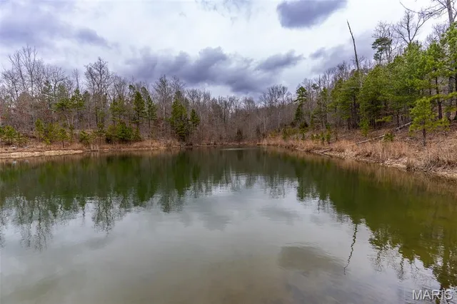 $710,000 | 7030 Wayne 341, Piedmont, MO 63957