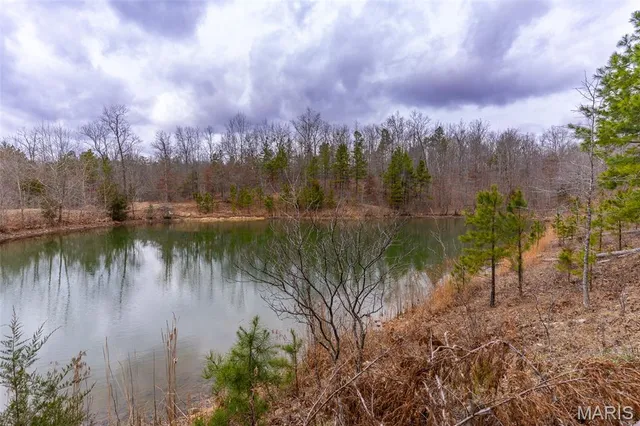 $710,000 | 7030 Wayne 341, Piedmont, MO 63957