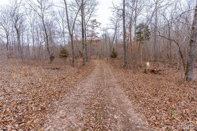 $710,000 | 7030 Wayne 341, Piedmont, MO 63957