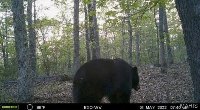 $710,000 | 7030 Wayne 341, Piedmont, MO 63957