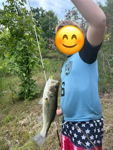 $710,000 | 7030 Wayne 341, Piedmont, MO 63957