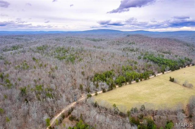 $710,000 | 7030 Wayne 341, Piedmont, MO 63957