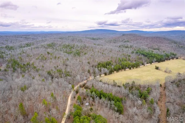 $710,000 | 7030 Wayne 341, Piedmont, MO 63957