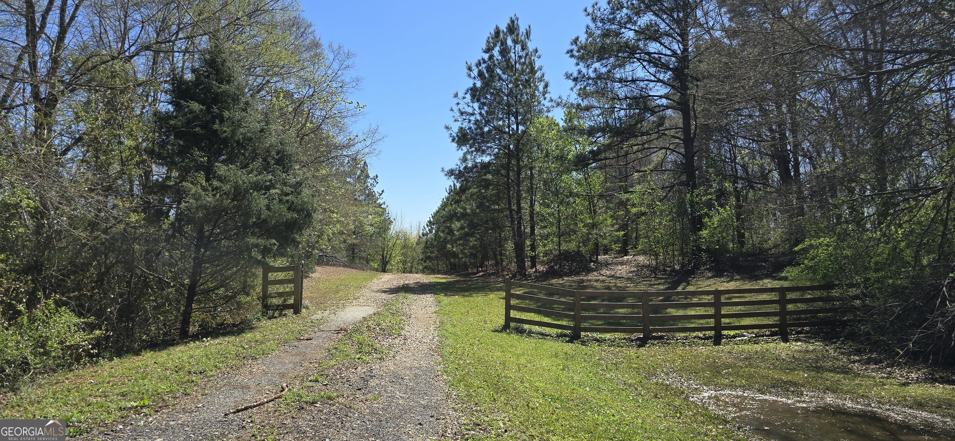 a view of a bench in a garden