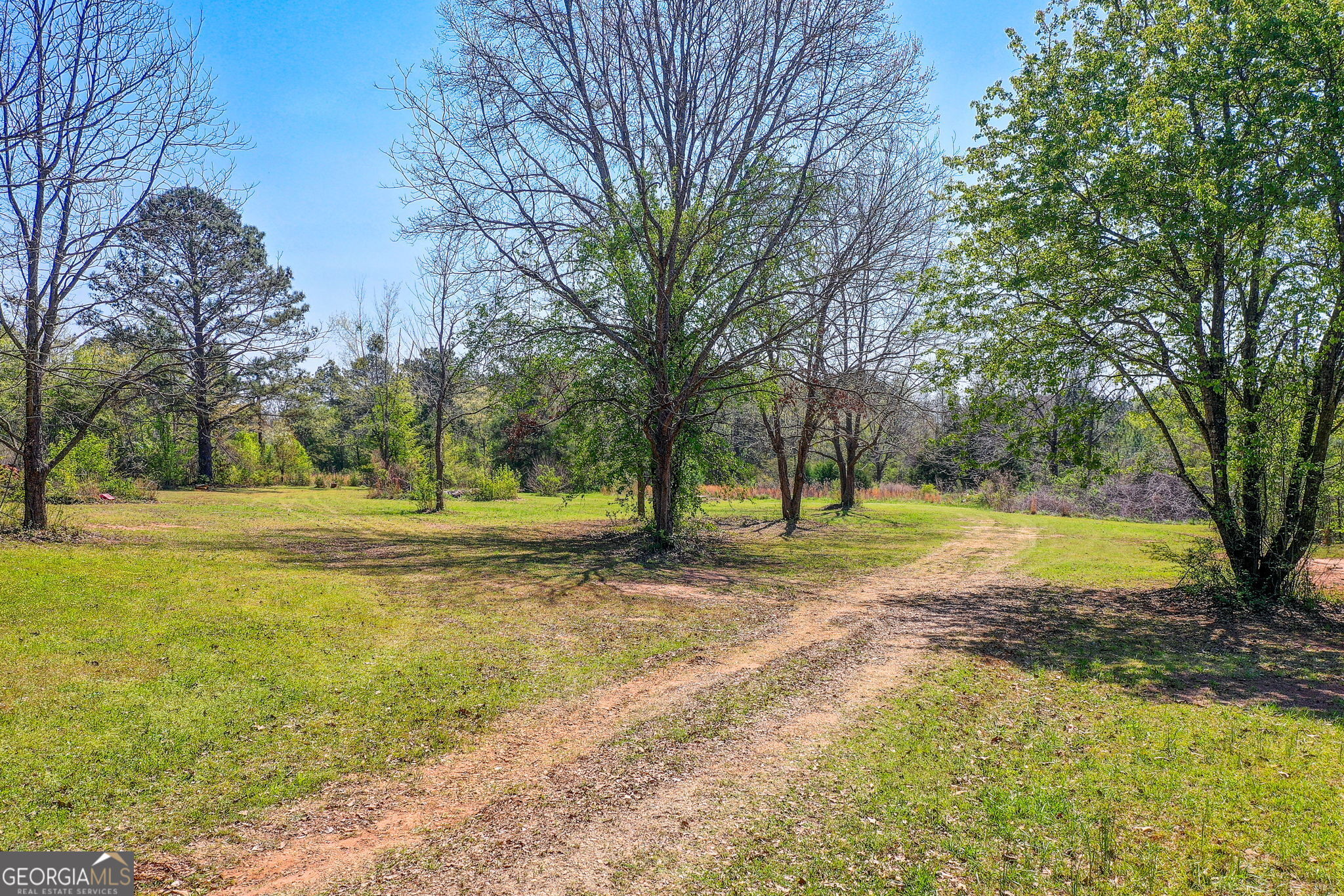 2532 High Falls Road Griffin, GA 30223 - Photo 11 of 16 a view of yard with swimming pool