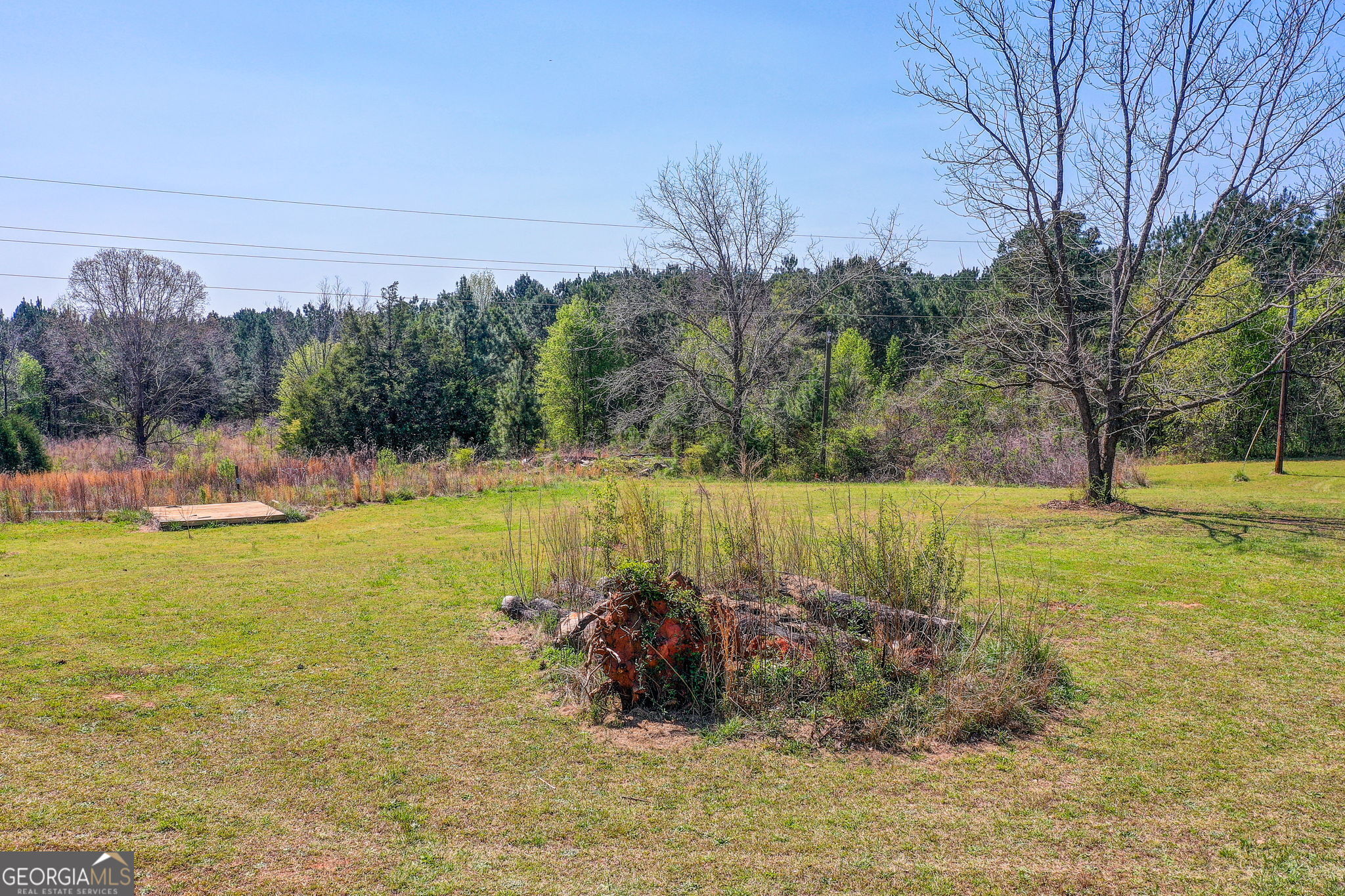 2532 High Falls Road Griffin, GA 30223 - Photo 12 of 16 a view of a lake with a yard