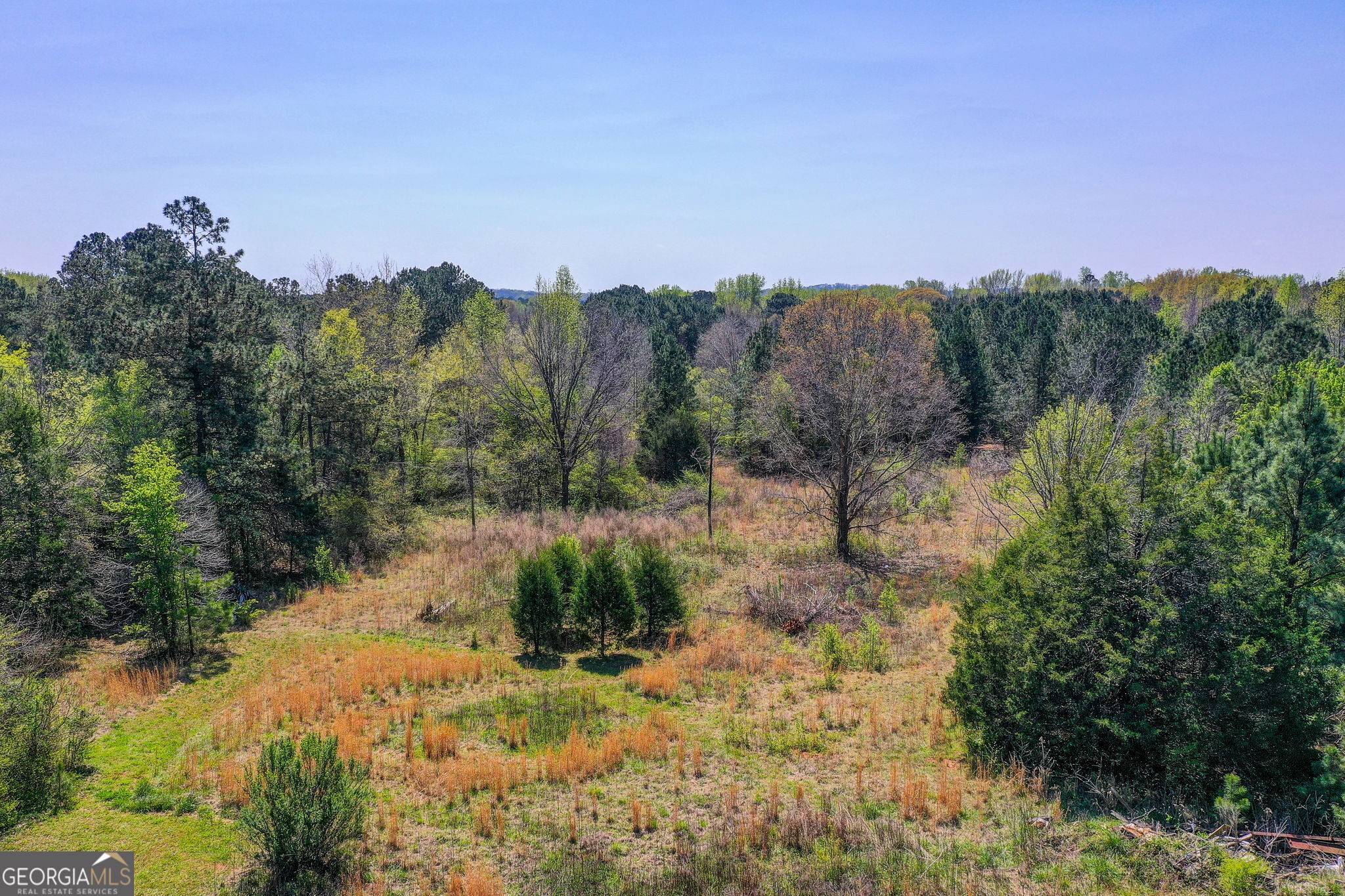 2532 High Falls Road Griffin, GA 30223 - Photo 14 of 16 a view of a yard with a tree