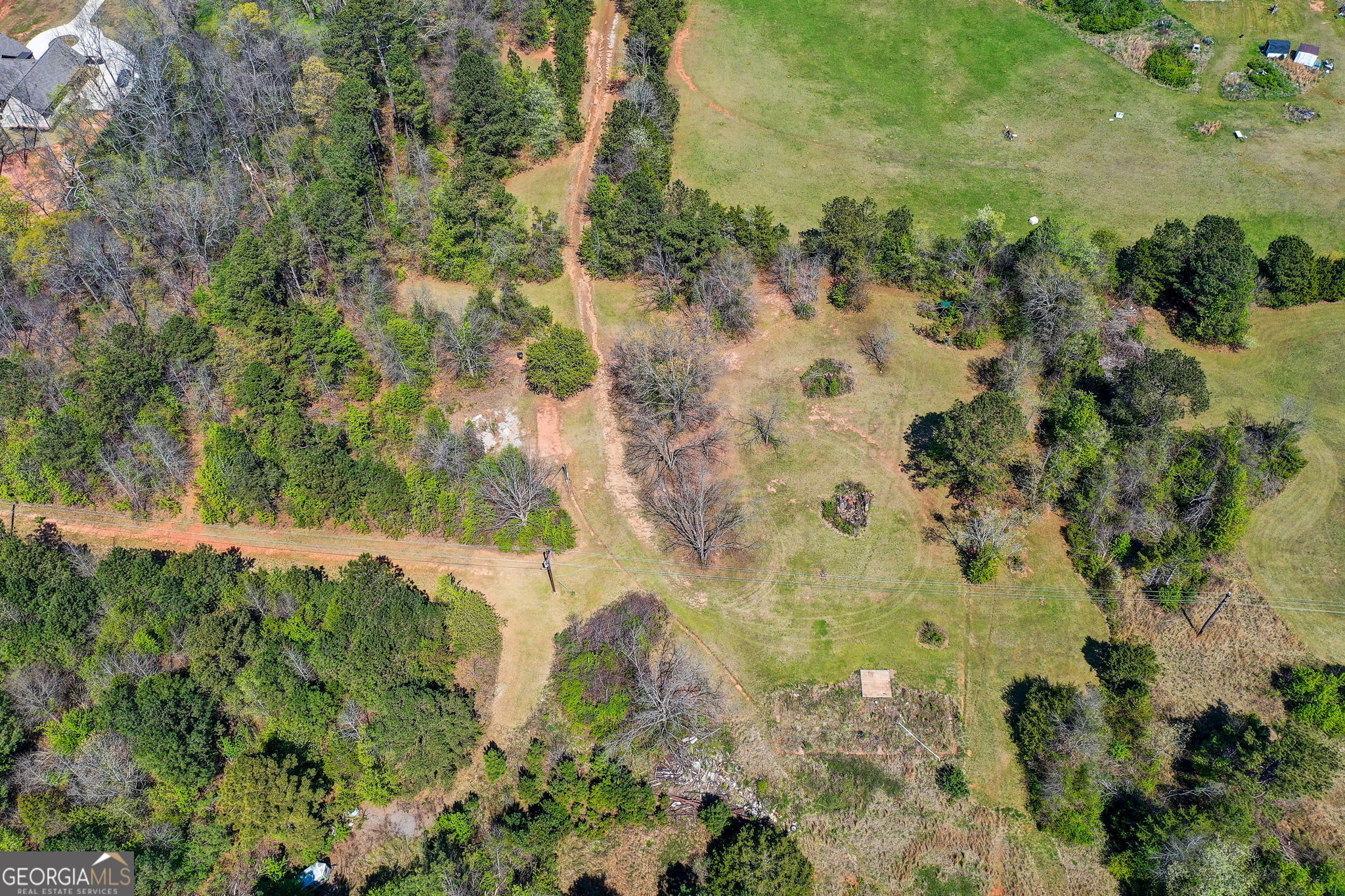 2532 High Falls Road Griffin, GA 30223 - Photo 16 of 16 a view of a yard with plants and tree