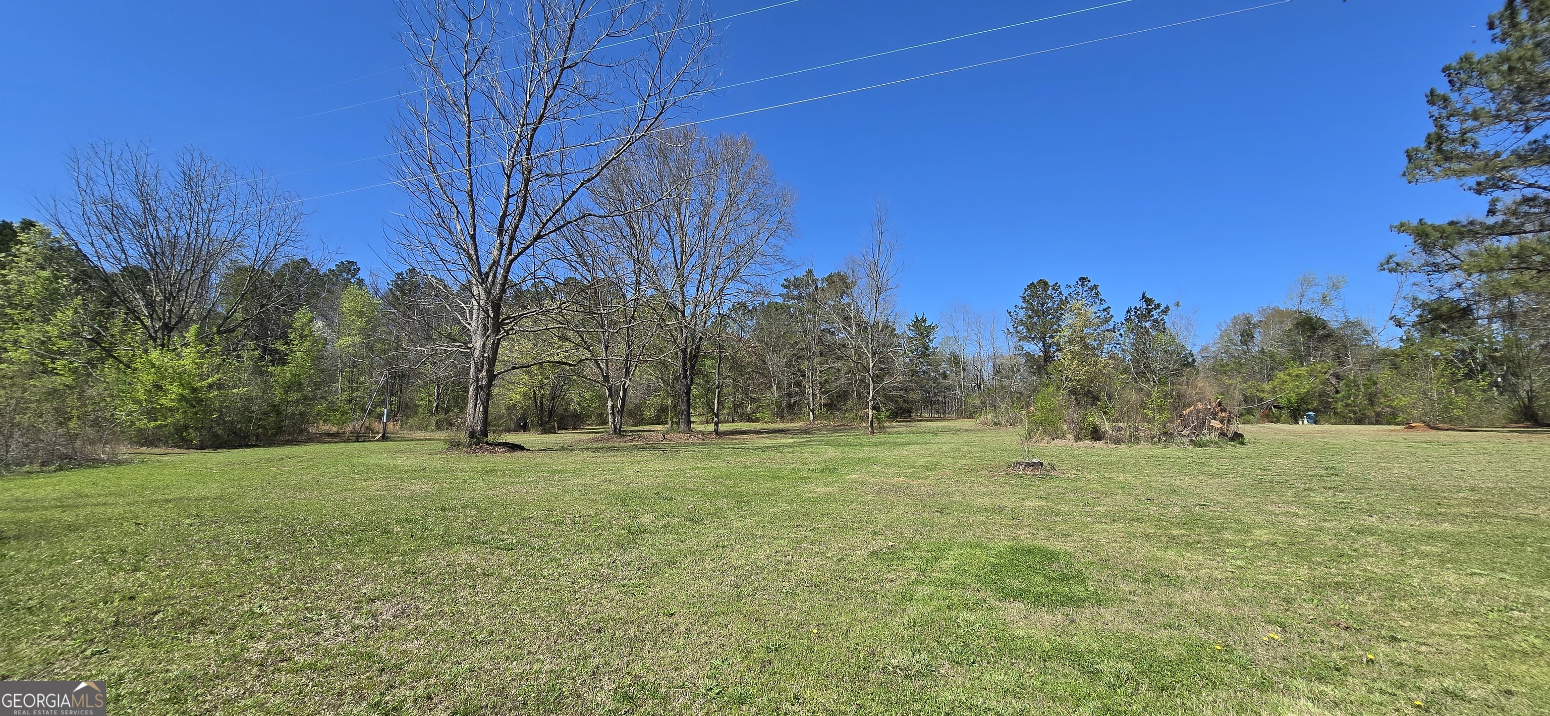2532 High Falls Road Griffin, GA 30223 - Photo 2 of 16 a view of outdoor space with trees all around
