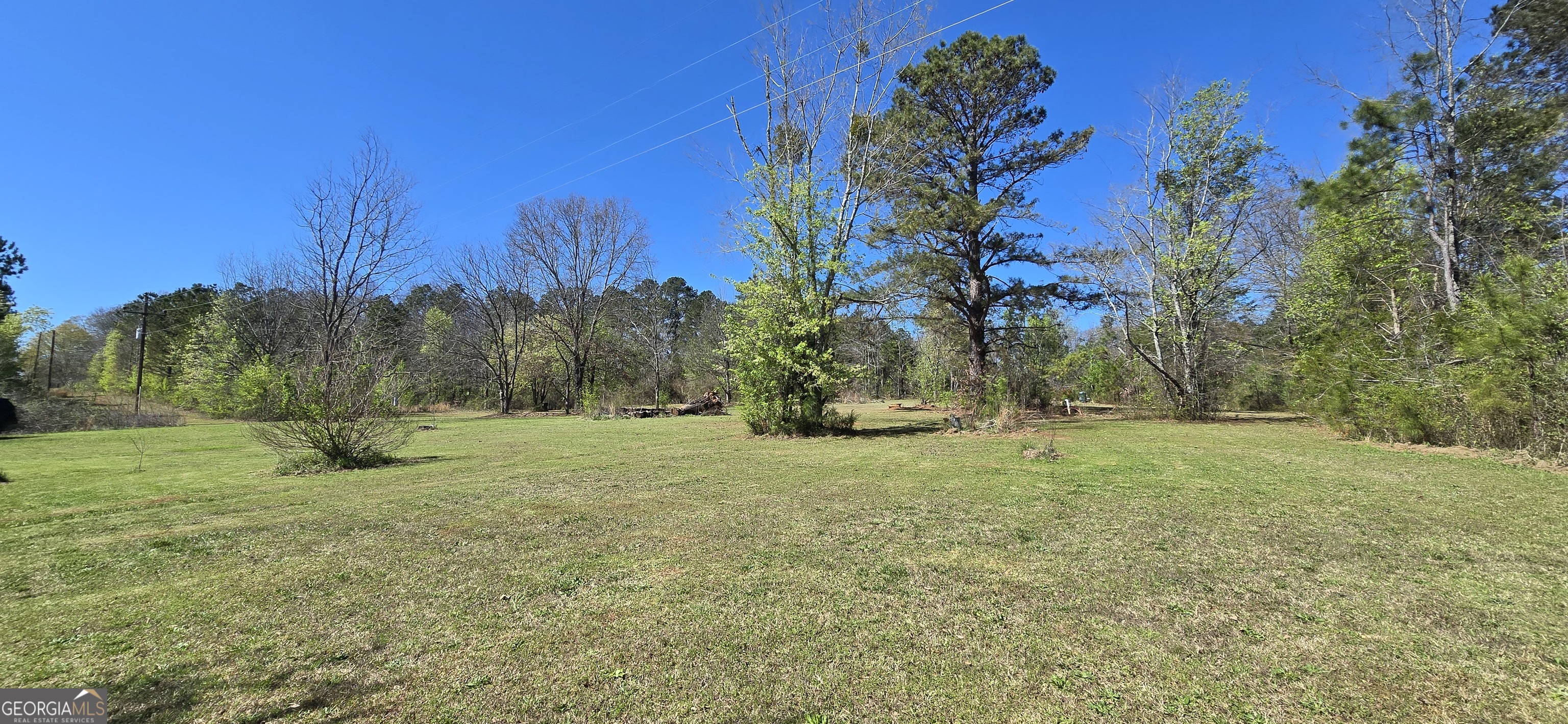2532 High Falls Road Griffin, GA 30223 - Photo 3 of 16 a view of a field with trees