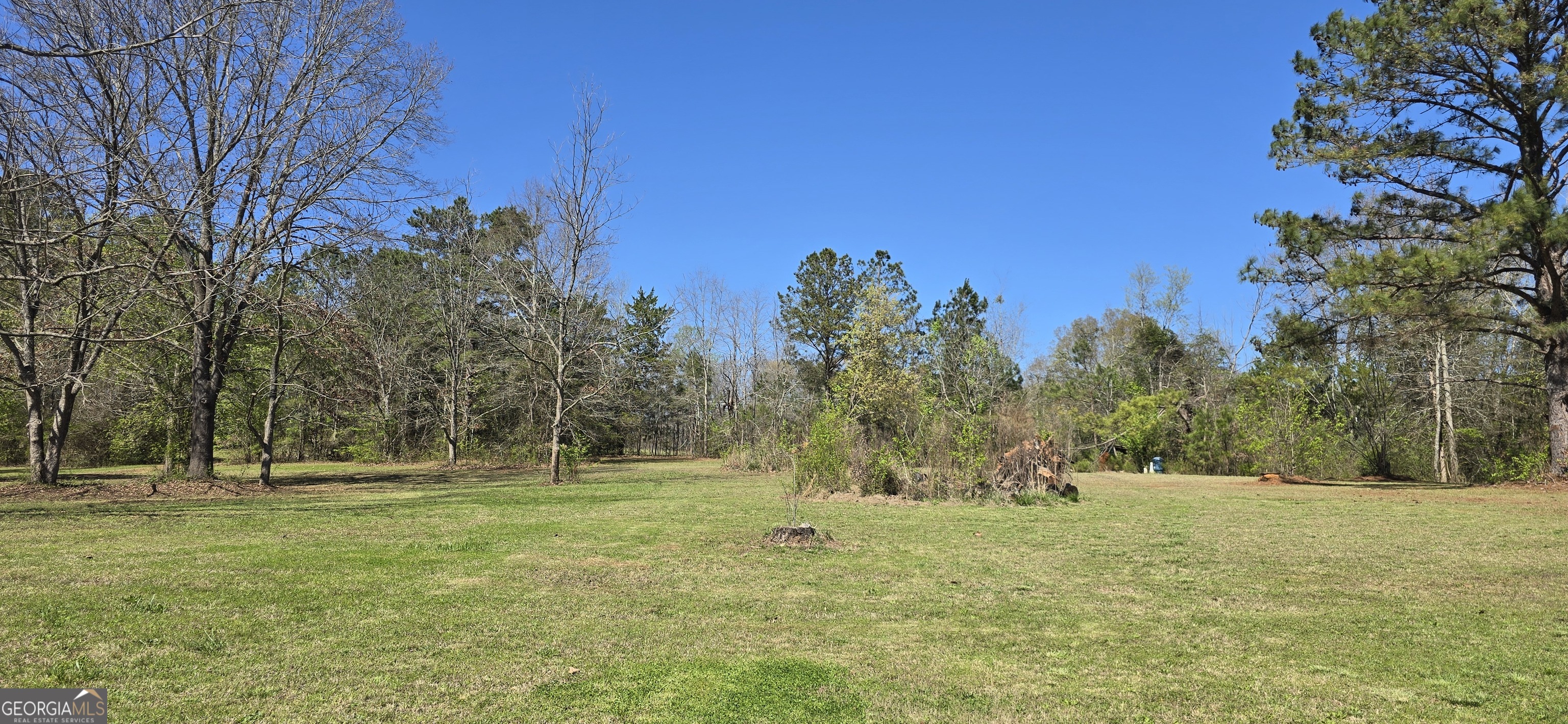 2532 High Falls Road Griffin, GA 30223 - Photo 4 of 16 a view of outdoor space with trees all around