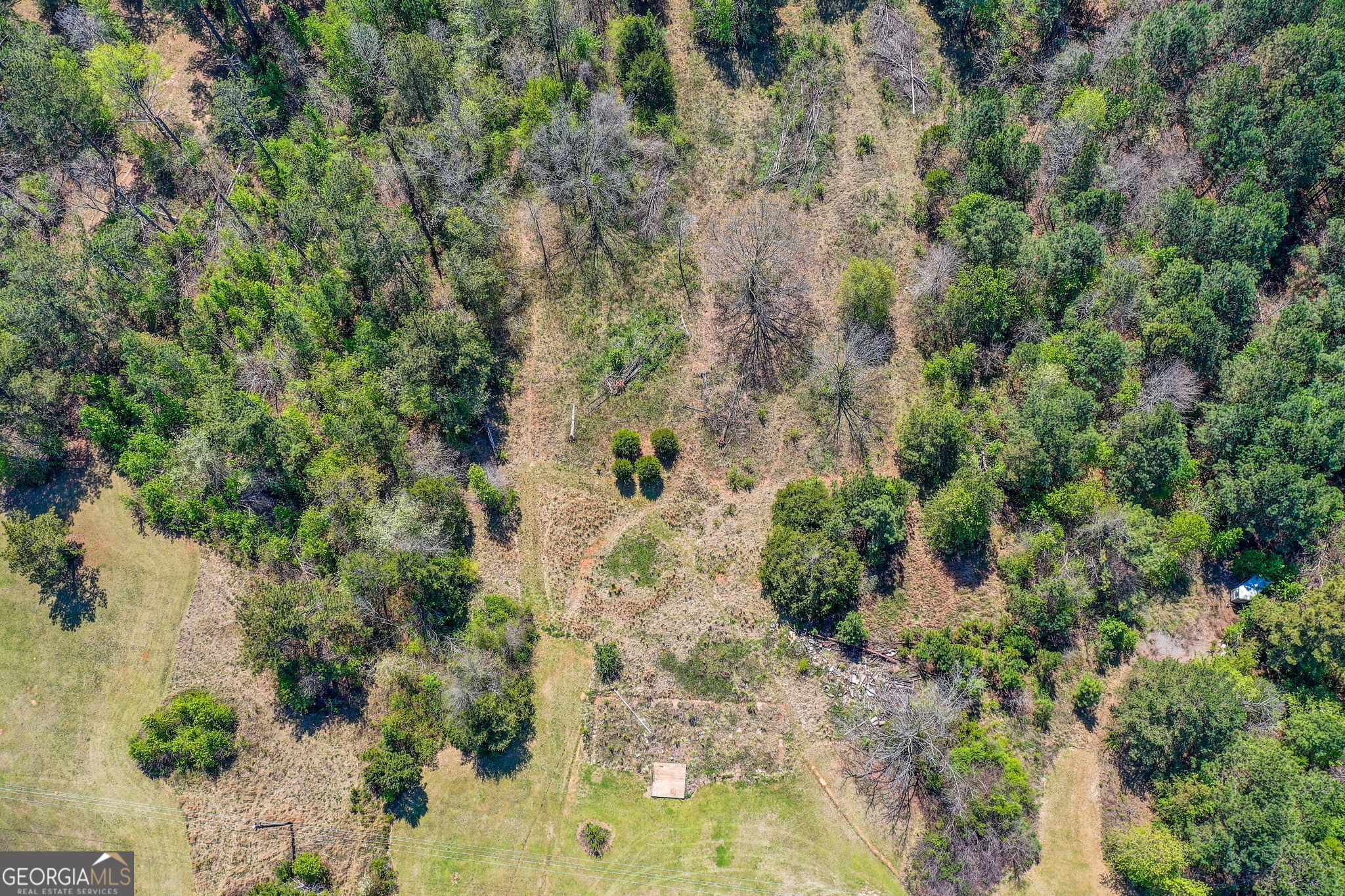 2532 High Falls Road Griffin, GA 30223 - Photo 7 of 16 a view of a yard with plants and tree