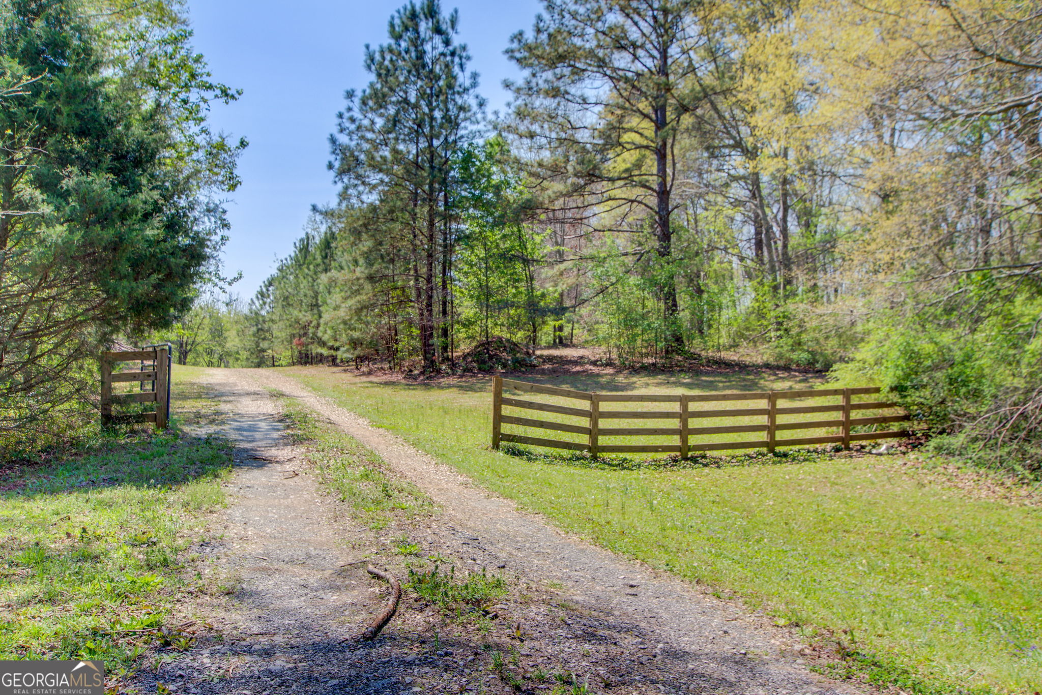 2532 High Falls Road Griffin, GA 30223 - Photo 8 of 16 a view of park with trees