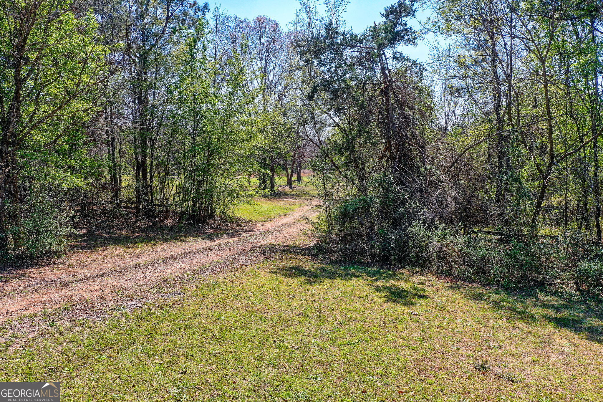 2532 High Falls Road Griffin, GA 30223 - Photo 9 of 16 a view of a yard with trees