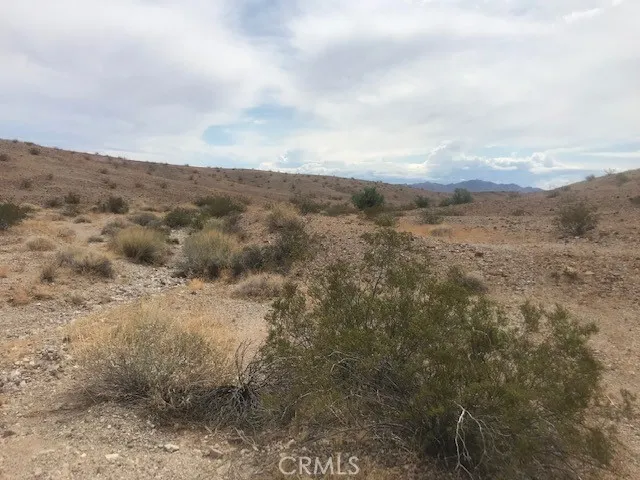 a view of a dry yard