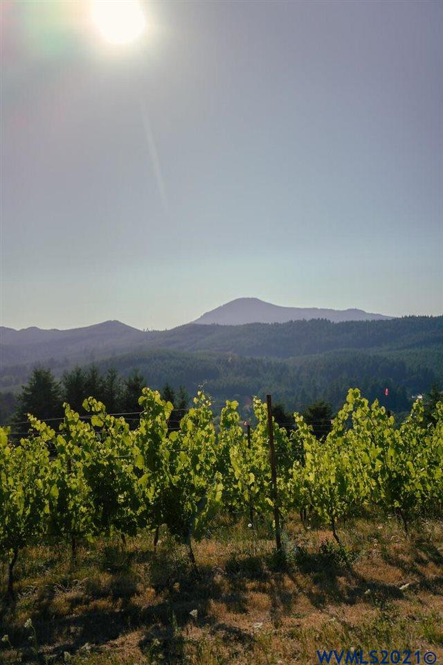 West Larson (lot 18) Road Monroe, OR 97456 - Photo 16 of 21