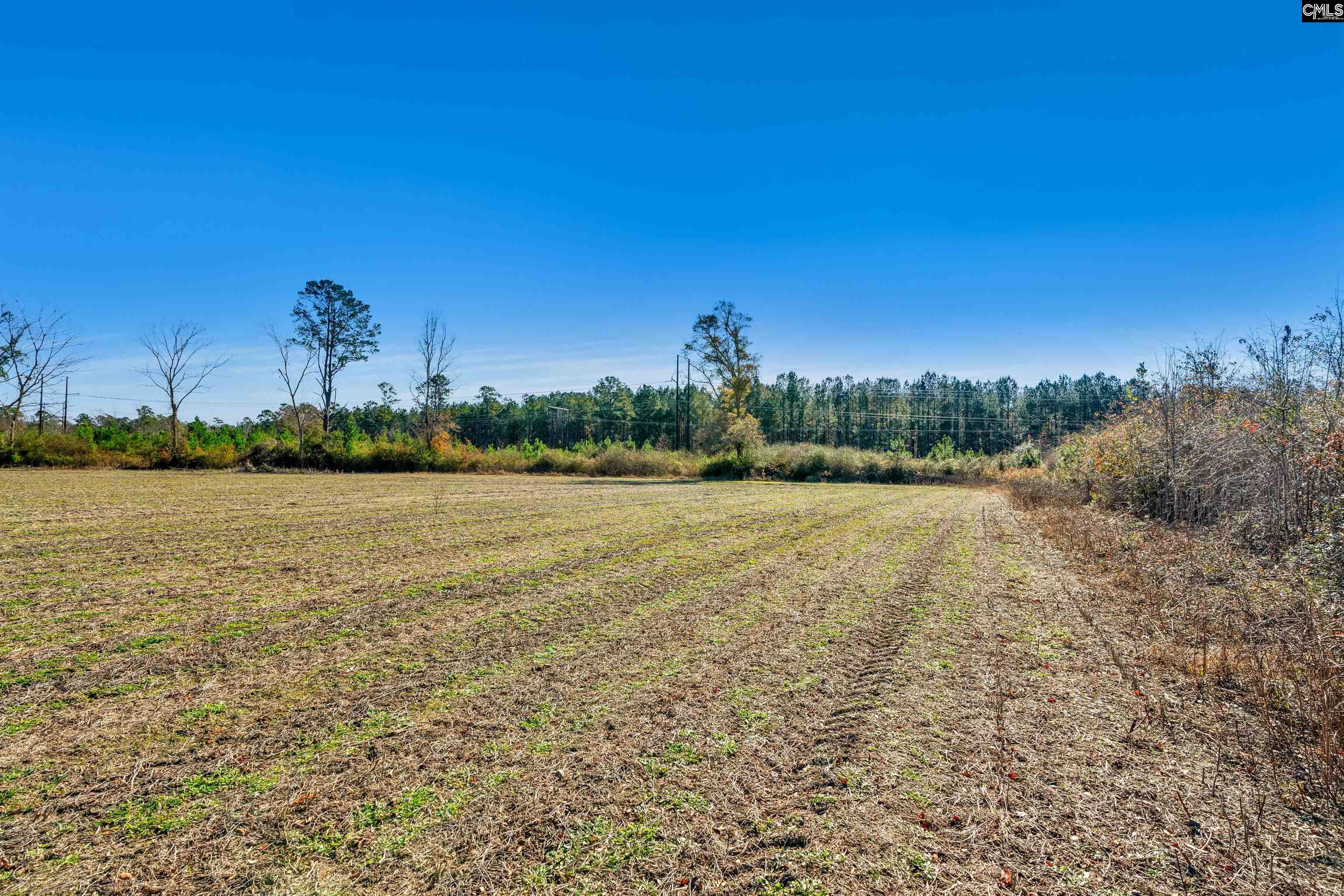 1745 Williams Hill Road Hemingway, SC 29554 - Photo 12 of 25