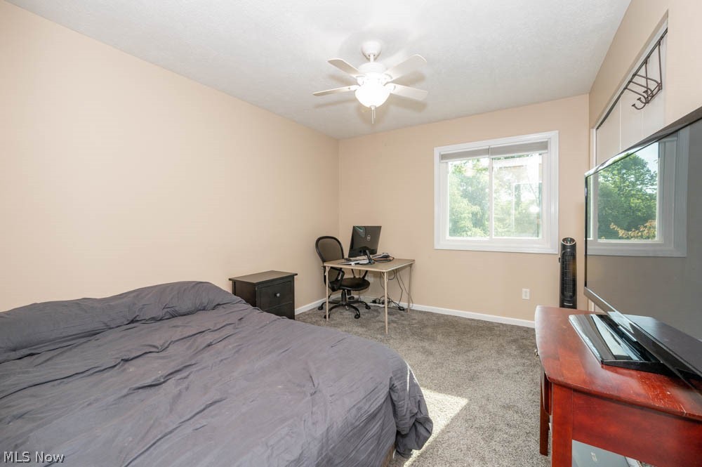 7614 Struthers Road Youngstown, OH 44514 - Photo 26 of 31 secondary bedroom
