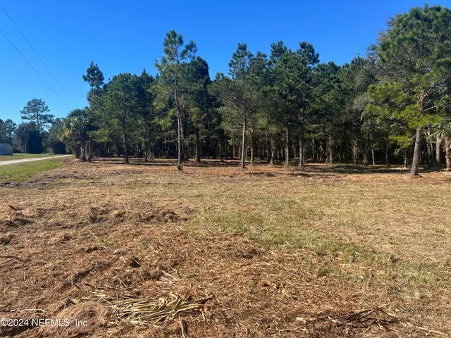 a big yard with trees in the background