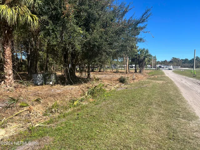 a view of a yard with trees